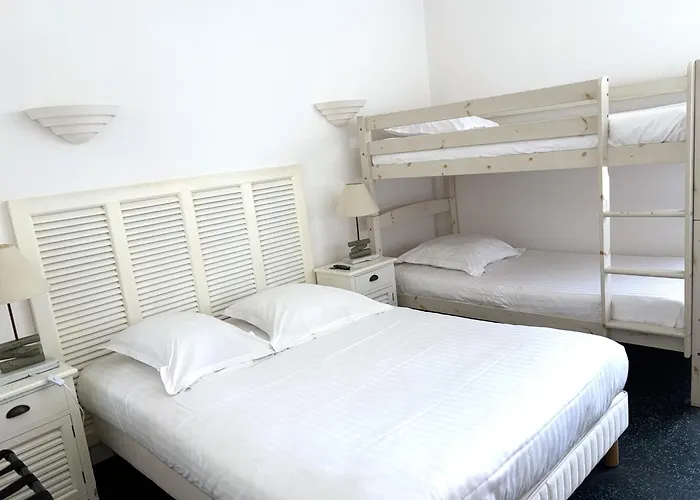 Hôtel accueillant les animaux: Hôtel Orange Marine